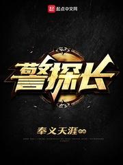 警探长智斗案中局