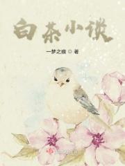 白茶全部