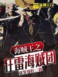 海贼王之全本狂