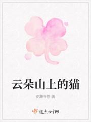 高山上的云朵