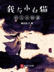 我与小猫之间的故事作文450字