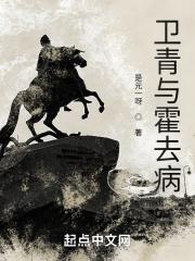 卫青与霍去病比武