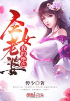 我的绝色圣女老婆叶天