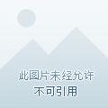 我在乱世娶妻长生在线阅读