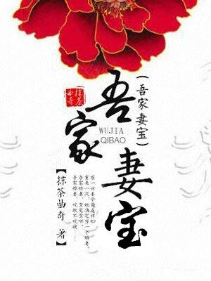 吾家妻宝全本