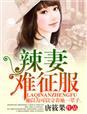 辣妻追夫全本阅读