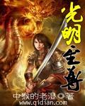 光明至尊打败魔界王