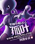宠物小精灵之孤独的王者笔趣