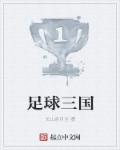 足球三国赛季