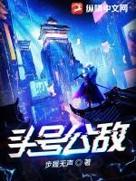 头号公敌第二部