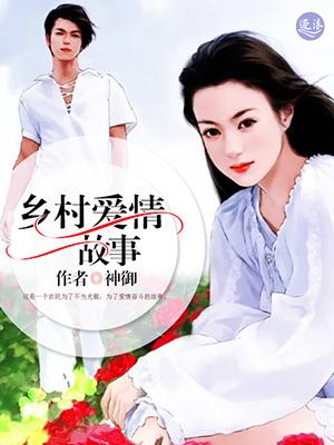 二龙湖乡村爱情故事