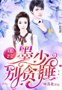 一胎两宝墨少虐妻