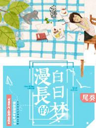 漫长的白日梦含义