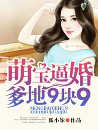 萌宝来袭爹地九块九免费阅读0