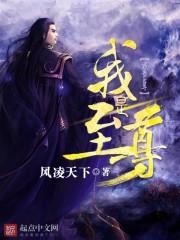 我为至尊短剧免费观看全集完整版