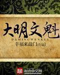 大明文魁TXT电子书免费阅读