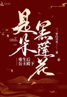 重生过后公主是朵黑莲花