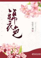 锦衣色的主要人物介绍