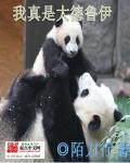 就是大德鲁伊