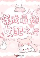 穿书后我成了最惨女n号免费